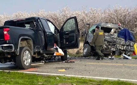 US Road Accident: Tragic accident in California, America, eight people died in collision between van and truck; one injured