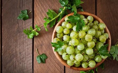 Amla is helpful in preventing not only diabetes but many other dangerous diseases, know its other benefits