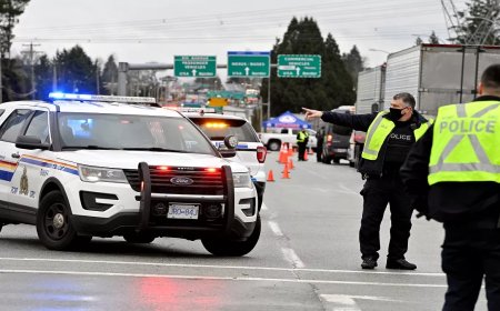 Canada Stabbing: Stab stabbing in Ottawa, Canada, student killed six roommates