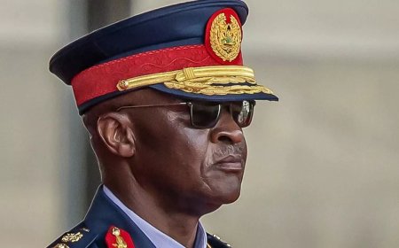 Kenya: Nine people including Kenya's defense chief killed in helicopter crash, President orders investigation