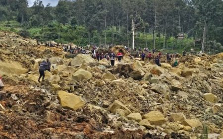 Landslide caused havoc in Papua New Guinea, death toll crossed 300; More than 1 thousand houses buried under debris