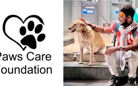 Paws Care Foundation Expands to East Delhi with New Director Ansh Mishra