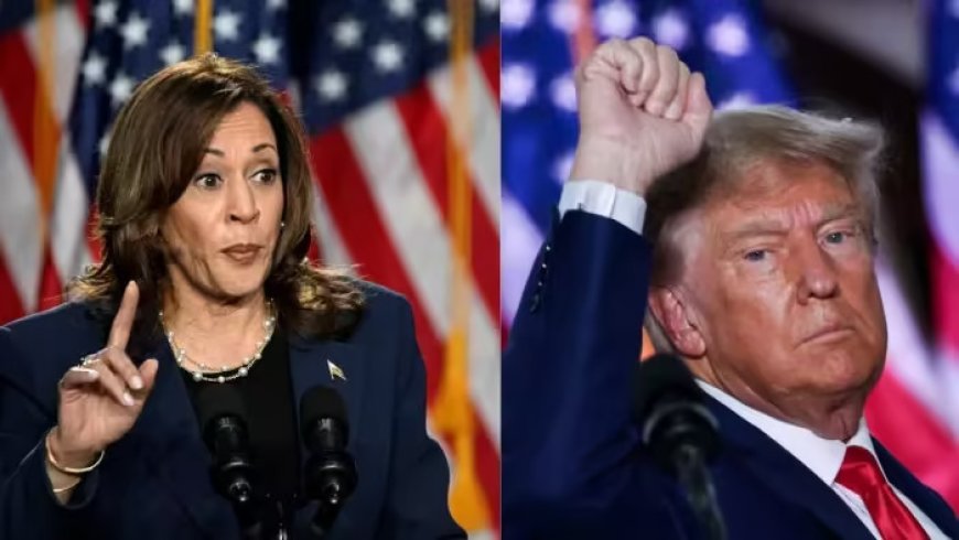 US Election 2024: Kamala Harris increased Donald Trump's tension, the former president got upset and changed his strategy