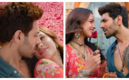 Kartik Aaryan drowned in love with Tripti Dimri, tremendous sizzling chemistry seen in the new song of Bhool Bhulaiyaa 3