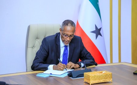 Recognition in the Making: Somaliland's Transformation under Muse Bihi