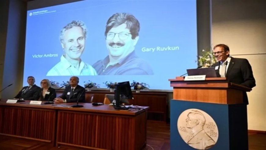 Nobel Prize 2024: American scientists Victor Ambrose and Gerry Ruvkon got the Nobel Prize, they made this special discovery