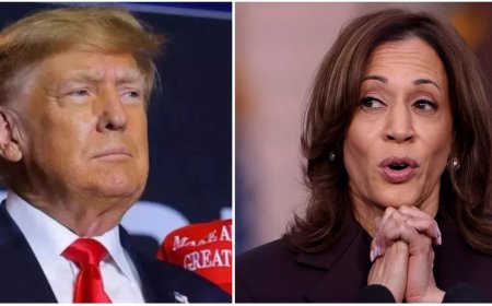 Kamala Harris could not even repeat Biden's performance, 7 swing states spoiled the game; How did Trump win?