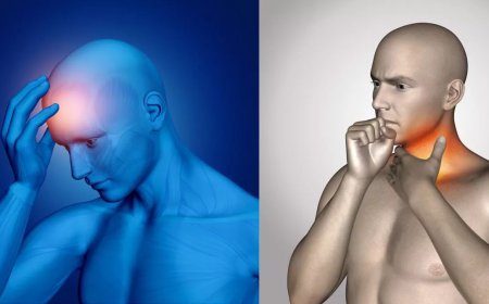 These are the major cancers of the head and neck; make changes in your lifestyle to prevent them, the disease will not even come near you