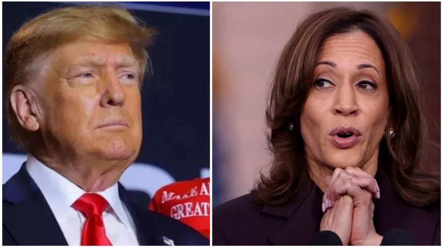 Kamala Harris could not even repeat Biden's performance, 7 swing states spoiled the game; How did Trump win?