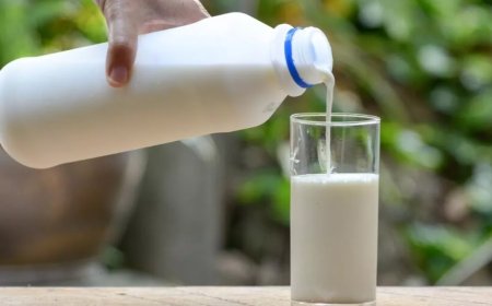 People who drink milk may also suffer from calcium deficiency, know its advantages and disadvantages