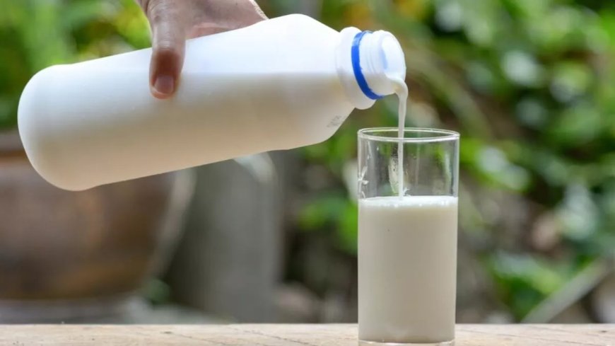 People who drink milk may also suffer from calcium deficiency, know its advantages and disadvantages