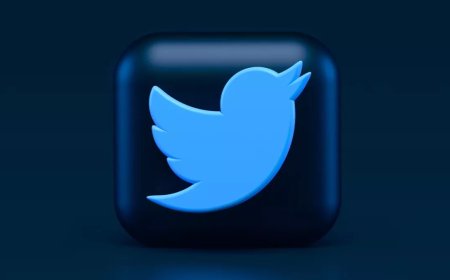 Twitter Logo Auction: Twitter's 'blue bird' sold, bid for this much