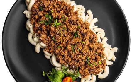 MegaFit Meals Brings Clean, Balanced Nutrition to the Center of the Plate