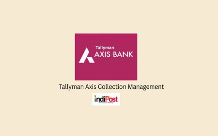 Tallyman Axis Collection Management: Guides to Know