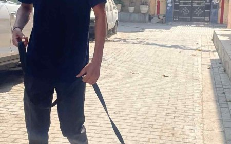 Pet Groomly Becomes a Preferred Choice for Professional Pet Grooming at Home in Mumbai’s Bollywood Circles