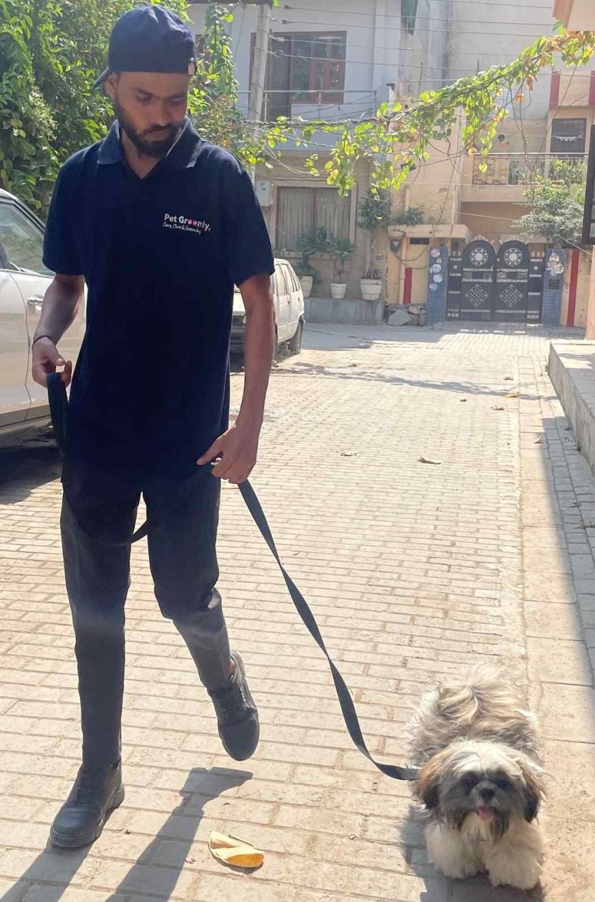 Pet Groomly Becomes a Preferred Choice for Professional Pet Grooming at Home in Mumbai’s Bollywood Circles