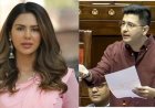 After Priyanka Chopra, Punjabi actress supports Raghav Chadha, comments on his post