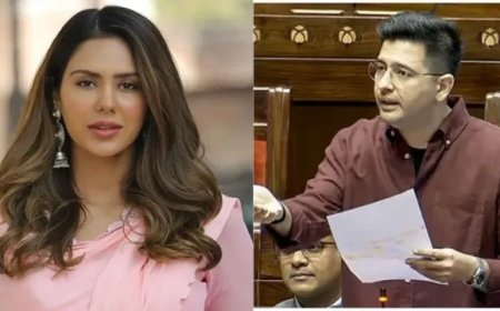 After Priyanka Chopra, Punjabi actress supports Raghav Chadha, comments on his post