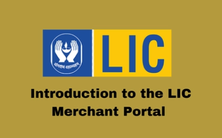 What is LIC Merchant and How It Works
