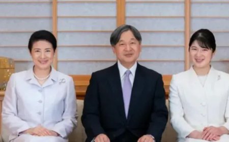 In Japan, only men from the imperial family can become emperor, law passed